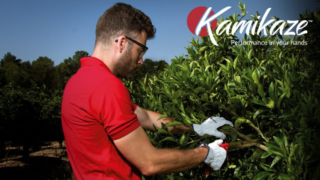 Entrevista en la Revista Agricultura para conocer la nueva imagen de Kamikaze